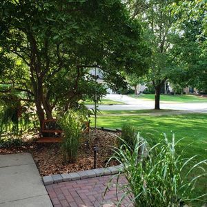 Meet your Posher, Rosa